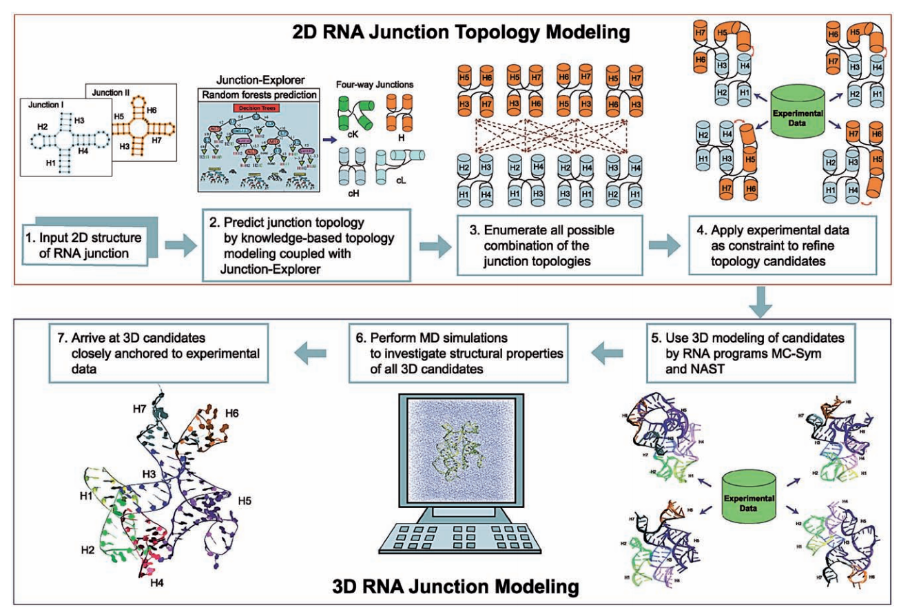 modeling_RNA_junctions_from_2D_to_3D